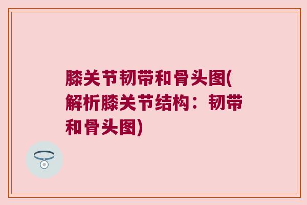 膝关节韧带和骨头图(解析膝关节结构:韧带和骨头图) 膝关节韧带和骨头图(解析膝关节结构:韧带和骨头图)