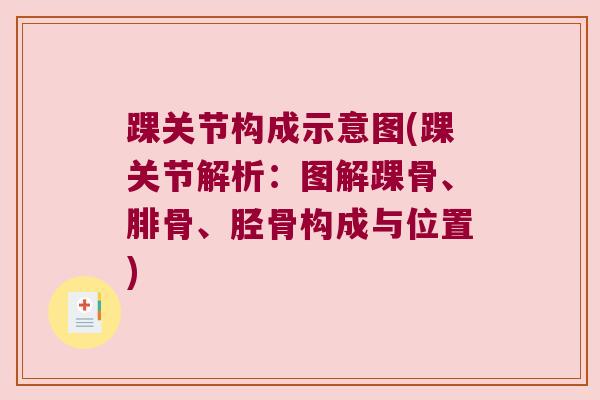 踝关节构成示意图(踝关节解析:图解踝骨、腓骨、胫骨构成与位置)