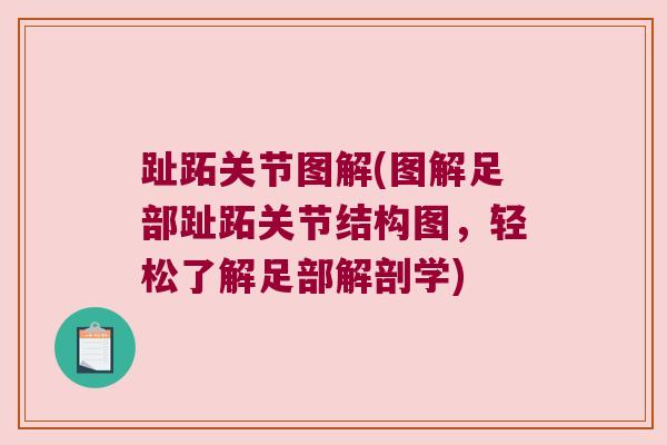 趾跖关节图解(图解足部趾跖关节结构图,轻松了解足部解剖学) 趾跖关节图解(图解足部趾跖关节结构图,轻松了解足部解剖学)