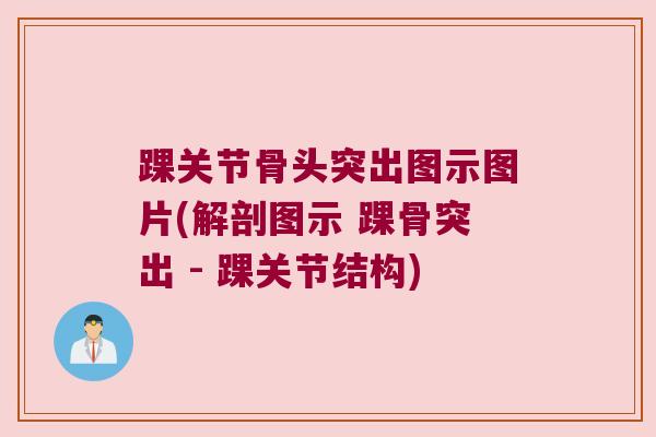 踝关节骨头突出图示图片(解剖图示 踝骨突出 - 踝关节结构)