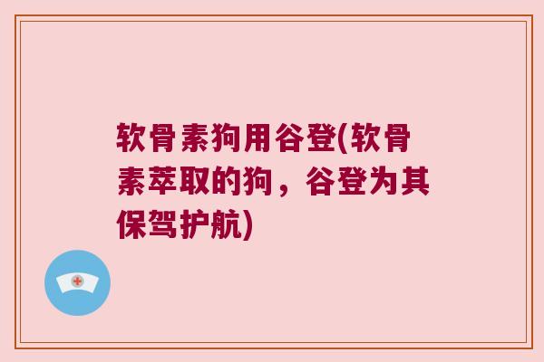 软骨素狗用谷登(软骨素萃取的狗,谷登为其保驾护航)