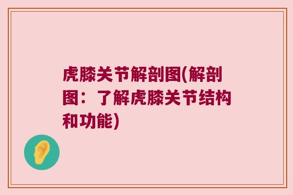 虎膝关节解剖图(解剖图:了解虎膝关节结构和功能)