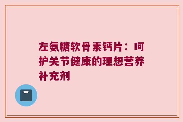 左氨糖软骨素钙片:呵护关节健康的理想营养补充剂