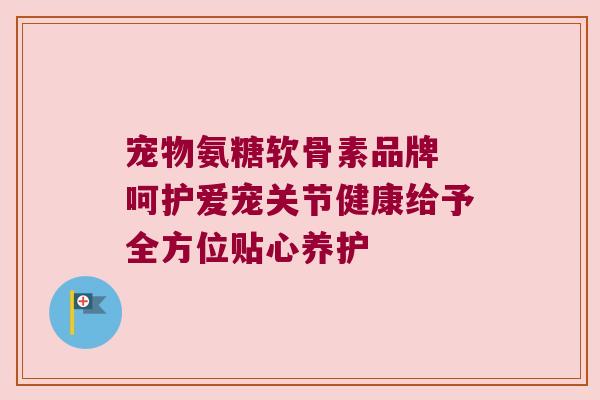 宠物氨糖软骨素品牌 呵护爱宠关节健康给予全方位贴心养护