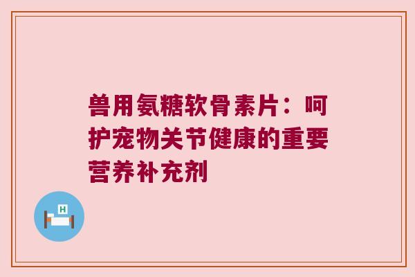 兽用氨糖软骨素片:呵护宠物关节健康的重要营养补充剂 兽用氨糖软骨素片:呵护宠物关节健康的重要营养补充剂