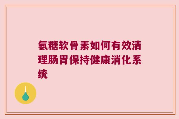 氨糖软骨素如何有效清理肠胃保持健康消化系统 氨糖软骨素如何有效清理肠胃保持健康消化系统