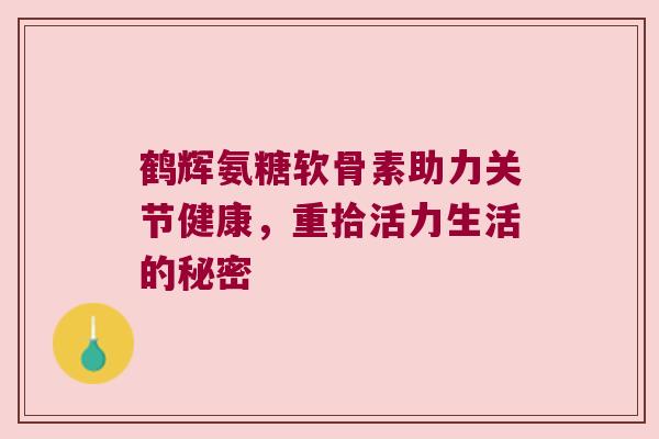 鹤辉氨糖软骨素助力关节健康,重拾活力生活的秘密