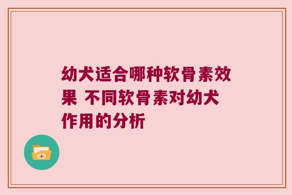 幼犬适合哪种软骨素效果 不同软骨素对幼犬作用的分析