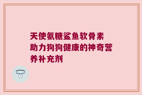 天使氨糖鲨鱼软骨素 助力狗狗健康的神奇营养补充剂 天使氨糖鲨鱼软骨素 助力狗狗健康的神奇营养补充剂