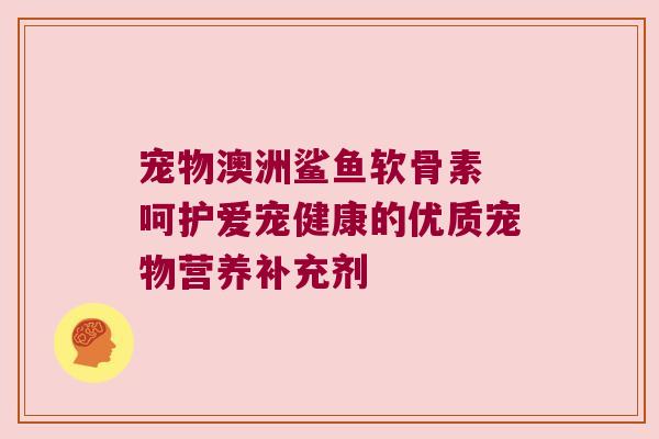宠物澳洲鲨鱼软骨素 呵护爱宠健康的优质宠物营养补充剂