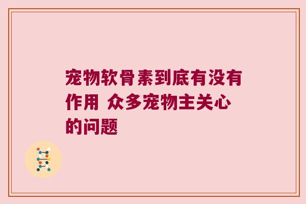 宠物软骨素到底有没有作用 众多宠物主关心的问题 宠物软骨素到底有没有作用 众多宠物主关心的问题