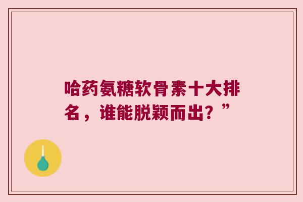 哈药氨糖软骨素十大排名，谁能脱颖而出？”