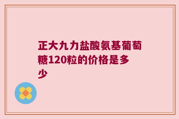 正大九力盐酸氨基葡萄糖120粒的价格是多少