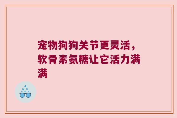 宠物狗狗关节更灵活,软骨素氨糖让它活力满满 宠物狗狗关节更灵活,软骨素氨糖让它活力满满