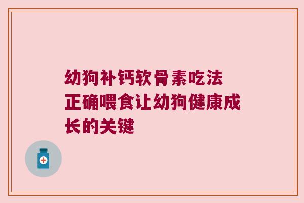 幼狗补钙软骨素吃法 正确喂食让幼狗健康成长的关键