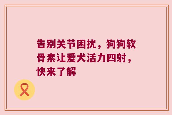 告别关节困扰,狗狗软骨素让爱犬活力四射,快来了解
