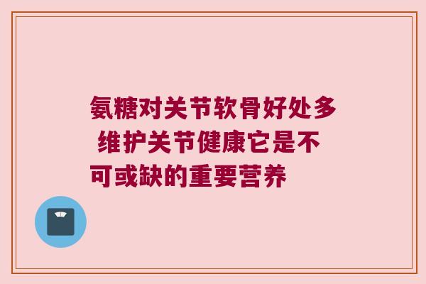 氨糖对关节软骨好处多 维护关节健康它是不可或缺的重要营养 氨糖对关节软骨好处多 维护关节健康它是不可或缺的重要营养