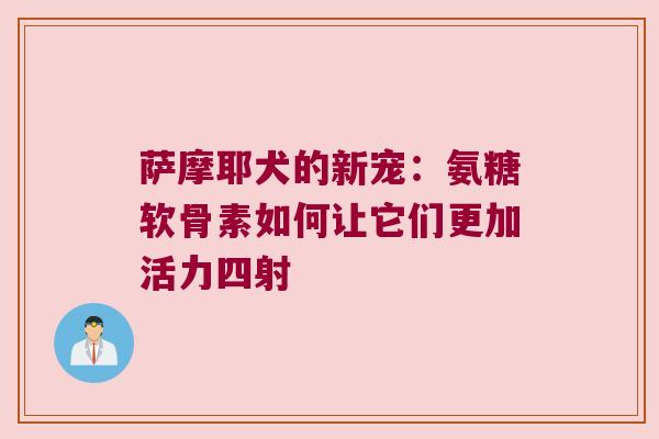 萨摩耶犬的新宠:氨糖软骨素如何让它们更加活力四射