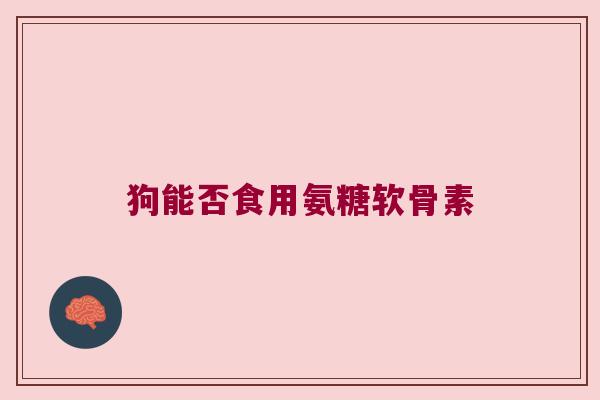 狗能否食用氨糖软骨素