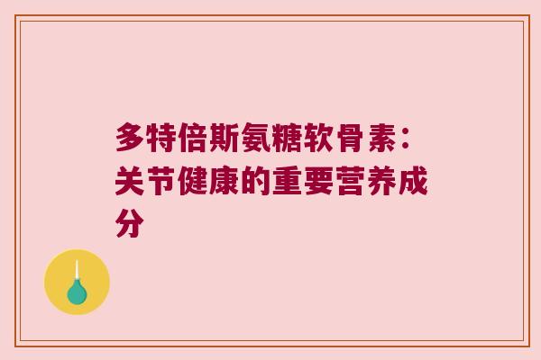 多特倍斯氨糖软骨素:关节健康的重要营养成分