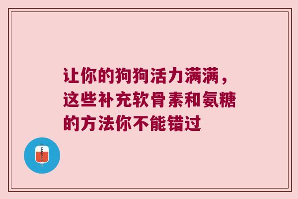 让你的狗狗活力满满,这些补充软骨素和氨糖的方法你不能错过