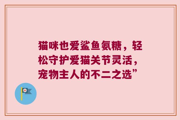 猫咪也爱鲨鱼氨糖,轻松守护爱猫关节灵活,宠物主人的不二之选” 猫咪也爱鲨鱼氨糖,轻松守护爱猫关节灵活,宠物主人的不二之选”