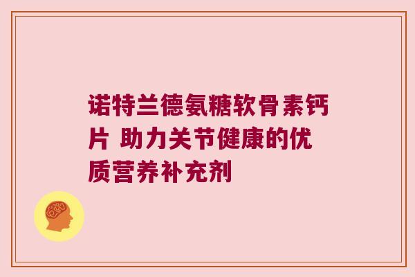 诺特兰德氨糖软骨素钙片 助力关节健康的优质营养补充剂 诺特兰德氨糖软骨素钙片 助力关节健康的优质营养补充剂