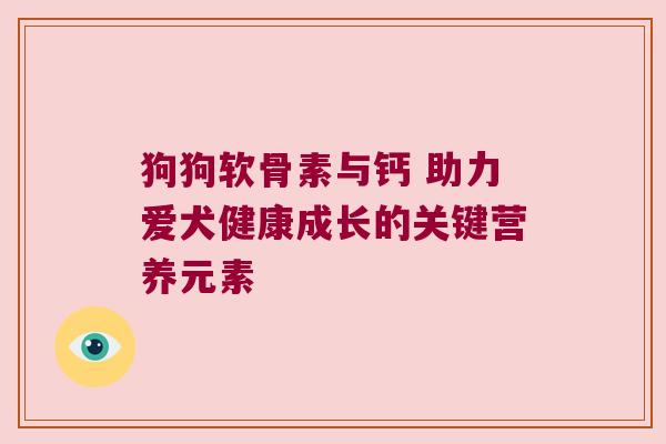 狗狗软骨素与钙 助力爱犬健康成长的关键营养元素