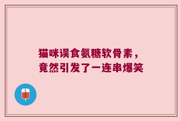 猫咪误食氨糖软骨素,竟然引发了一连串爆笑 猫咪误食氨糖软骨素,竟然引发了一连串爆笑