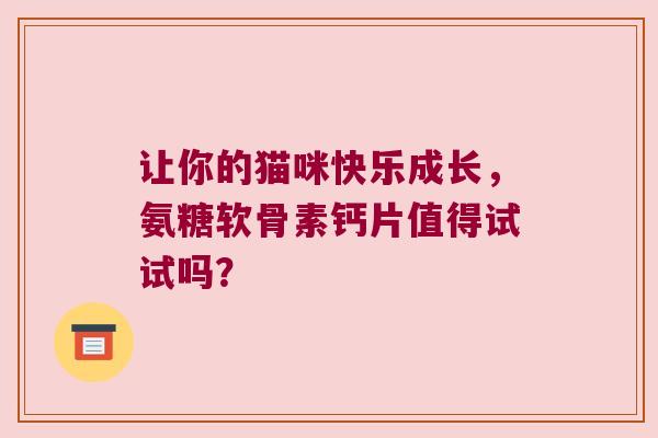 让你的猫咪快乐成长,氨糖软骨素钙片值得试试吗?