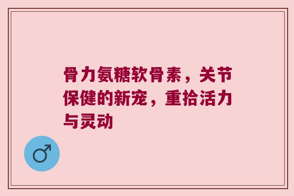 骨力氨糖软骨素,关节保健的新宠,重拾活力与灵动