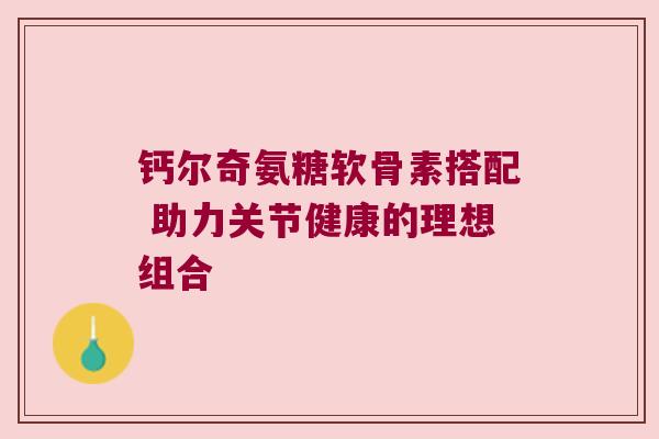 钙尔奇氨糖软骨素搭配 助力关节健康的理想组合